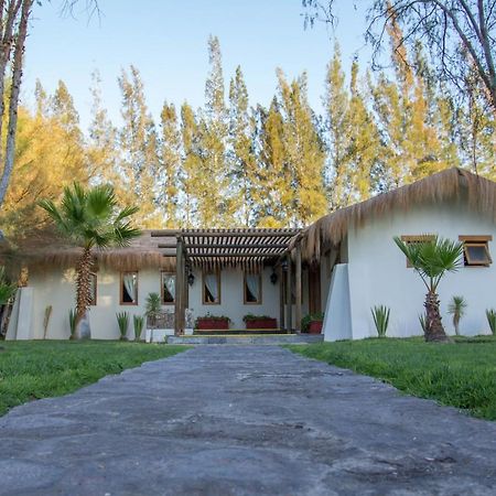 Cabanas La Huayca - Caja Los Andes Pica Dış mekan fotoğraf