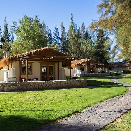 Cabanas La Huayca - Caja Los Andes Pica Dış mekan fotoğraf