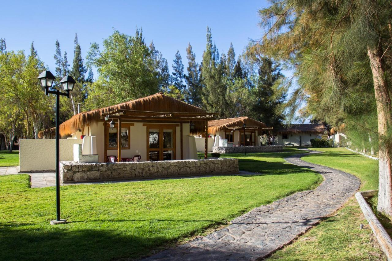 Cabanas La Huayca - Caja Los Andes Pica Dış mekan fotoğraf