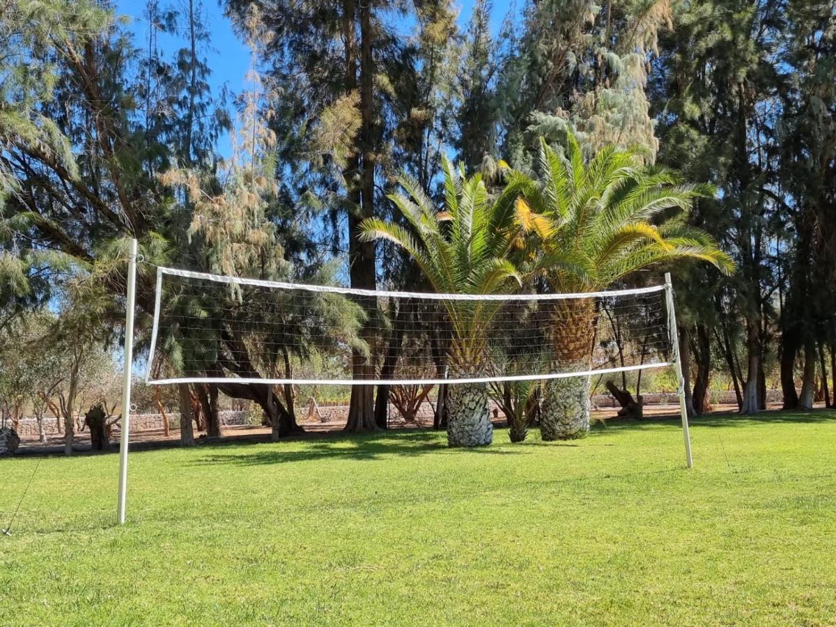 Cabanas La Huayca - Caja Los Andes Pica Dış mekan fotoğraf